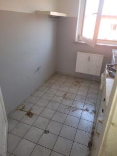 WhatsApp Image 2026-03-19 at 16.22.48 (2)