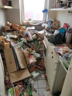 WhatsApp Image 2026-03-19 at 16.22.48