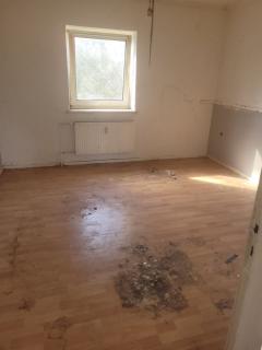 WhatsApp Image 2026-03-19 at 16.22.49 (1)